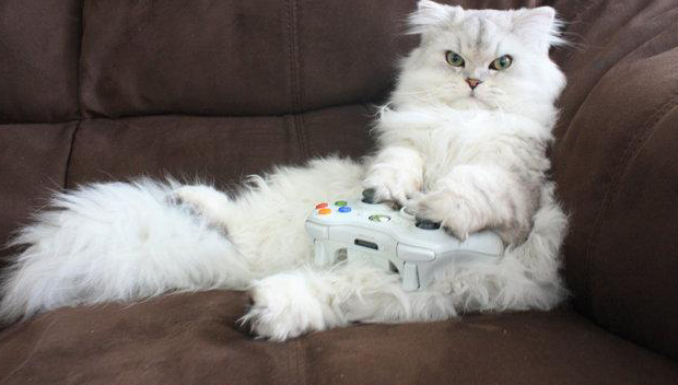 lançamentos da semana