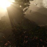 trailer de The Forest