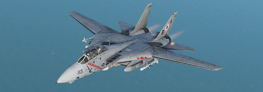 DCS World
