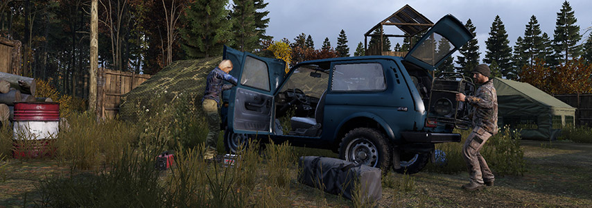 DayZ