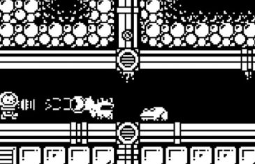 Gato Roboto