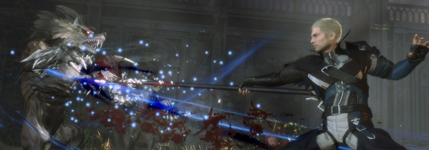 Stranger of Paradise