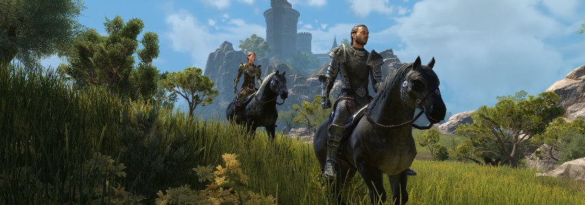 Elder Scrolls Online