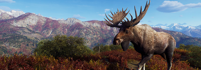 Way of the Hunter