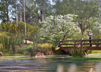 “Ranger’s Path: National Park Simulator” estará disponível em março no PC